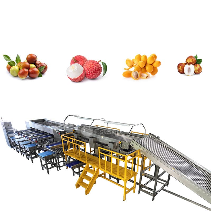 images/1765332390131lychee processing.jpg